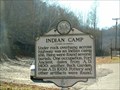 Image for Indian Camp