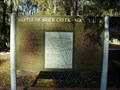 Image for Battle of Brier Creek - Mar. 3, 1779-Screven County Georgia