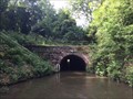 Image for North East Portal - Dunhampstead Tunnel - Worcester & Birmingham Canal - Dunhampstead - Worcestershire - UK