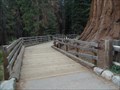 Image for General Sherman boardwalk - Sequoia National Park CA