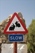 Image for Watch out for rabbits (Gibraltar)