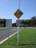 Image for Bunny Family Crossing - Irvine, CA