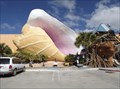Image for Conch Shells - Seven Seas Souvenir Shop - Los Fresnos TX