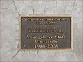Image for Centennial Time Capsule ~ Youngstown State University ~ Youngstown, Ohio