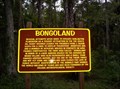 Image for Ruins of Bongoland, Port Orange, Florida