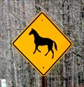 Image for Horse Crossing - Conklin Forks, Binghamton, NY