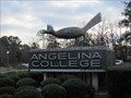 Image for Angelina College Roadrunner - Lufkin, Texas
