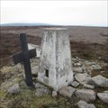 Image for O.S. Triangulation Pillar - Hill of Cat, Angus.