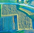 Image for Beans & Greens Corn Maze