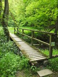 Image for Hiking Path Footbridge, Mörsdorf - RLP / Germany