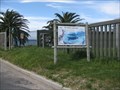 Image for Of Whales and Men, Simon's Town, South Africa