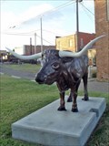 Image for Steer - Miami, TX