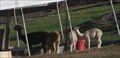 Image for 101 Alpaca Ranch - Prunedale, CA