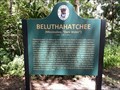 Image for Beluthahatchee