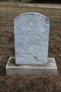 Image for Mark A. Williams - Smith Springs Cemetery - Erath County, TX
