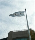 Image for City of Chicago Flag outside US Cellular Field
