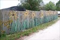 Image for Black-Eyed Susans on a Fence - Tampa, FL