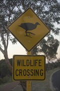Image for Moorhen Crossing - Bunbury, WA, Australia