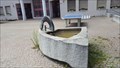 Image for Sheep Horn Fountain - Birgisch, VS, Switzerland