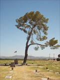 Image for Louis B. Hazelton Memorial Cemetery - Buckeye, Arizona