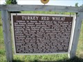 Image for Turkey Red Wheat - Walton, Kansas