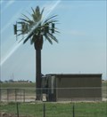Image for I-8 Palm Tree Cell 2 - El Centro, CA