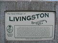 Image for The Real Village of Livingston