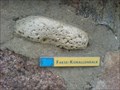 Image for Geologische Infostation - Scharbeutz, Germany