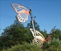 Image for Butterflies - Cayuga Nature Center - Ithaca, NY