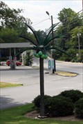 Image for Griffin Medical Palm Tree - Dalton, GA