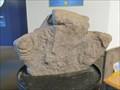 Image for Stromatolite - Brockville, Ontario
