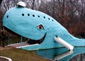 Image for The Catoosa Blue Whale