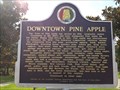 Image for Downtown Pine Apple, Alabama