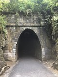 Image for The Blue Ridge Tunnel - Afton, Virginia