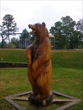 Image for Carved Bear - Signal Mountain TN.