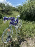 Image for Ghost Bike - Oracle, AZ