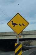 Image for Duck Crossing, Taylorsville, UT