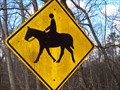 Image for Horse crossing