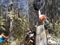 Image for Drain trig, Kunderang Wilderness Area, Werrikimbe, NSW