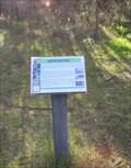 Image for Warringine Park, Hastings, Victoria, Australia - Mangroves