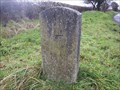 Image for Lydford Boundary Stone, near Lydford, Devon UK