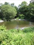 Image for CONFLUENCE: River Dyfi and South Dulas, Machynlleth, Powys, Wales, UK