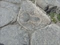 Image for Stone Phalluses of Pompei - Pompeya, Italia.