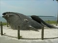 Image for North Atlantic Right Whale - St. Simons Island, GA