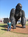 Image for From Cars to King Kong – Grand Prairie, TX