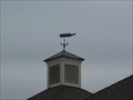 Image for Whale of a Weathervane