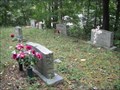 Image for Whitt Family Cemetery - Toler, KY, US