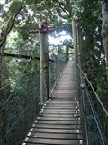 Image for O'Reilly's Tree Top Walk - Canungra, Australia