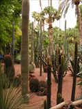 Image for Botanical Garden 'Majorelle Garden' - Marrakesh, Morocco
