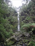 Image for Erskine Falls- Great Otway National Park, Angahook section - Victoria, Australia